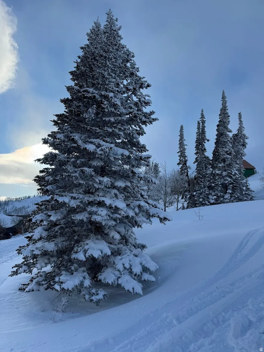 View of mountain backdrop