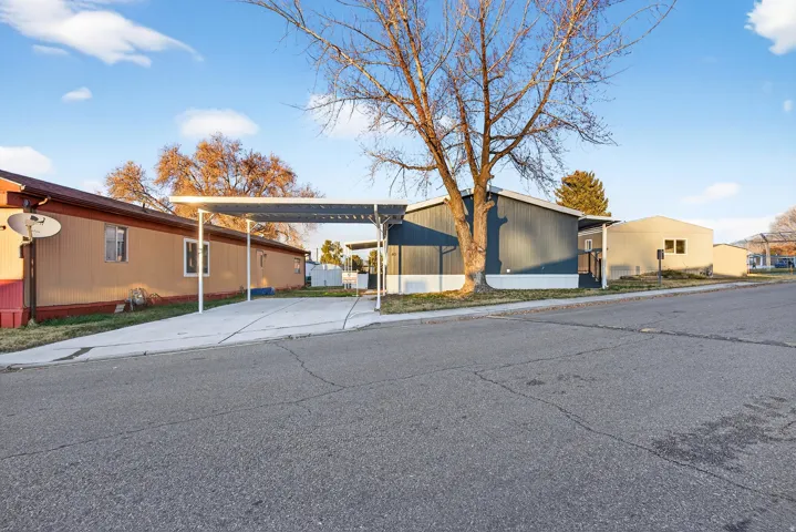 View of front of house with a carport and concrete driveway