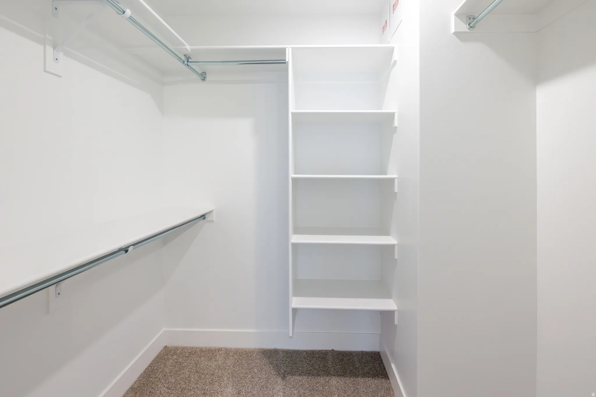 Walk in closet with light colored carpet