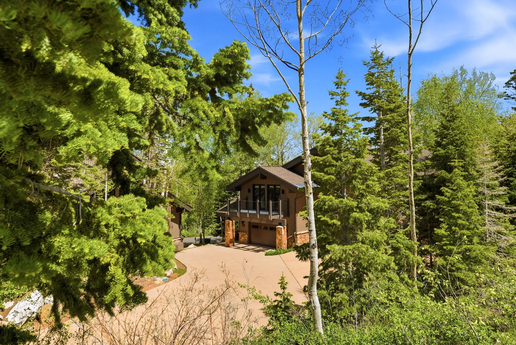 Contemporary exterior framed by mature evergreen and deciduous trees