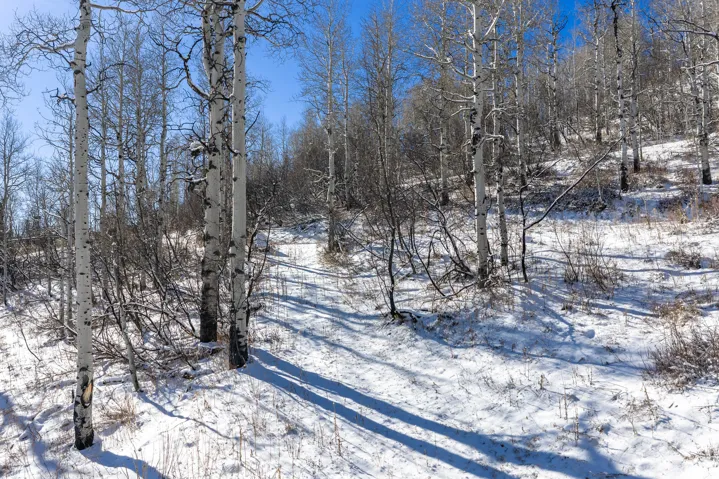 11708 Canyon Rim Rd, Oakley, Utah 84055