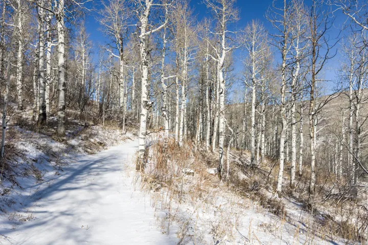 11708 Canyon Rim Rd, Oakley, Utah 84055