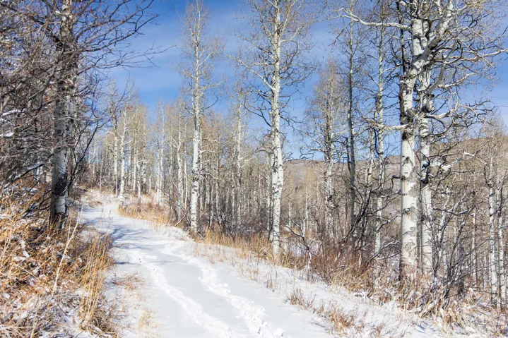 11708 Canyon Rim Rd, Oakley, Utah 84055
