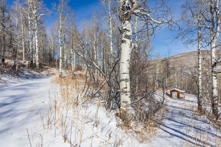 11708 Canyon Rim Rd, Oakley, Utah 84055