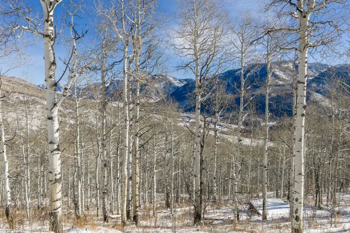 11708 Canyon Rim Rd, Oakley, Utah 84055