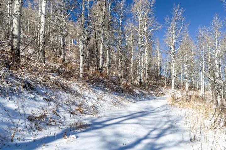 11708 Canyon Rim Rd, Oakley, Utah 84055