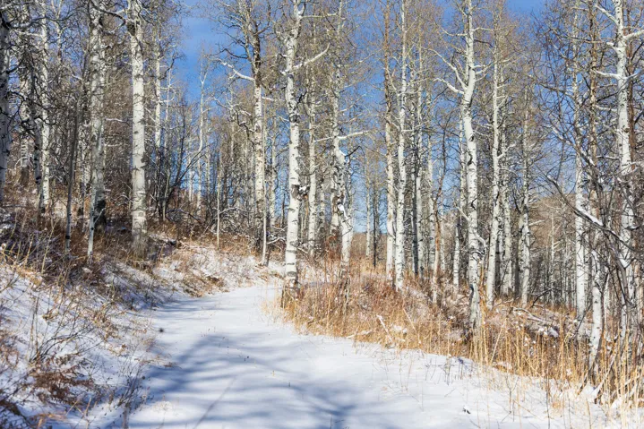 11708 Canyon Rim Rd, Oakley, Utah 84055
