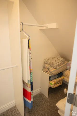 Spacious closet featuring carpet flooring