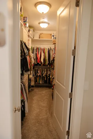 Spacious closet featuring dark carpet