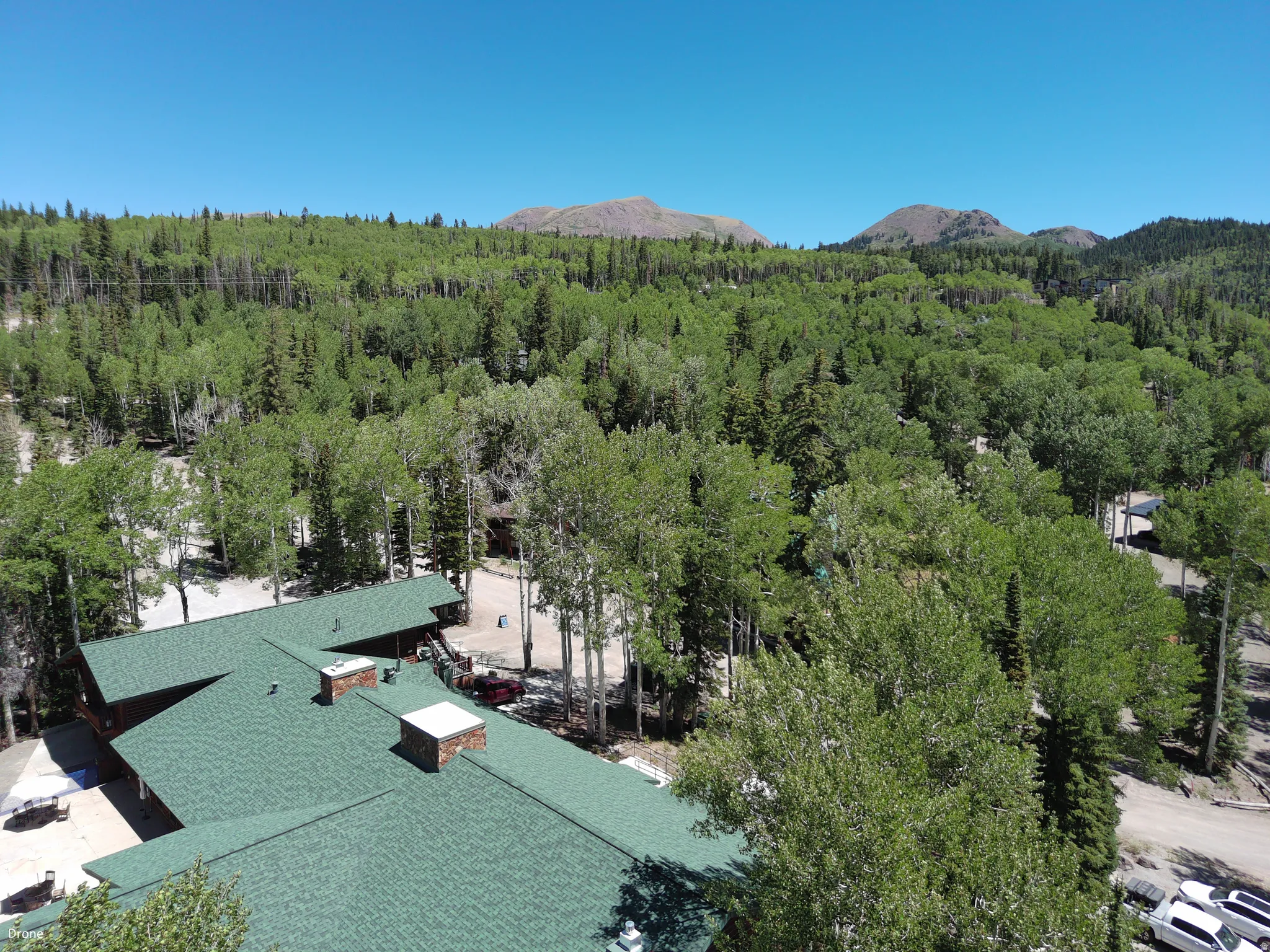 Aerial view of property and surrounding area with a mountainous background and a forest
