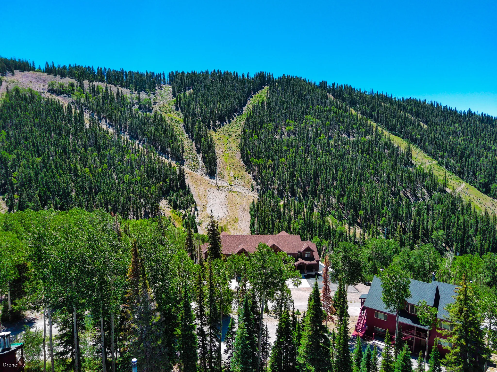 Drone / aerial view of a heavily wooded area