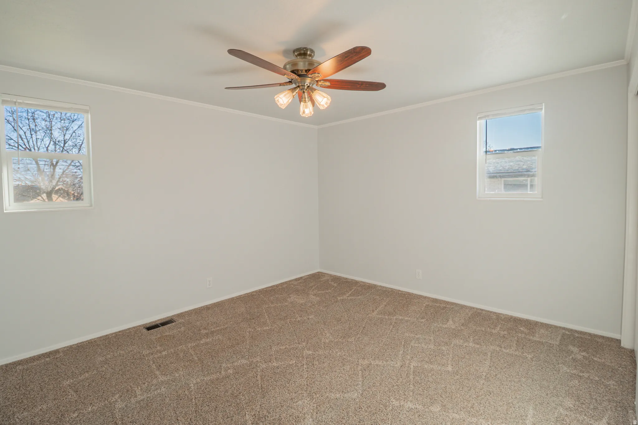 Spare room featuring crown molding, carpet floors, and a ceiling fan