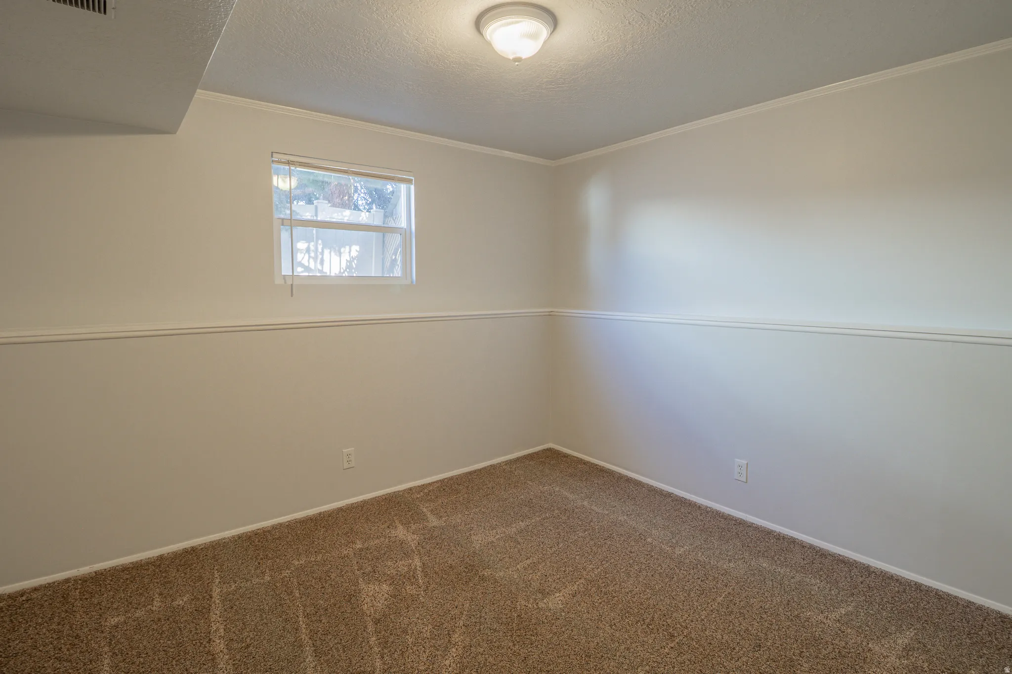 Spare room featuring a textured ceiling, ornamental molding, and carpet floors