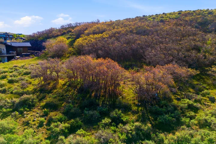 2562 E Canyon Gate Rd, Park City, Utah 84098