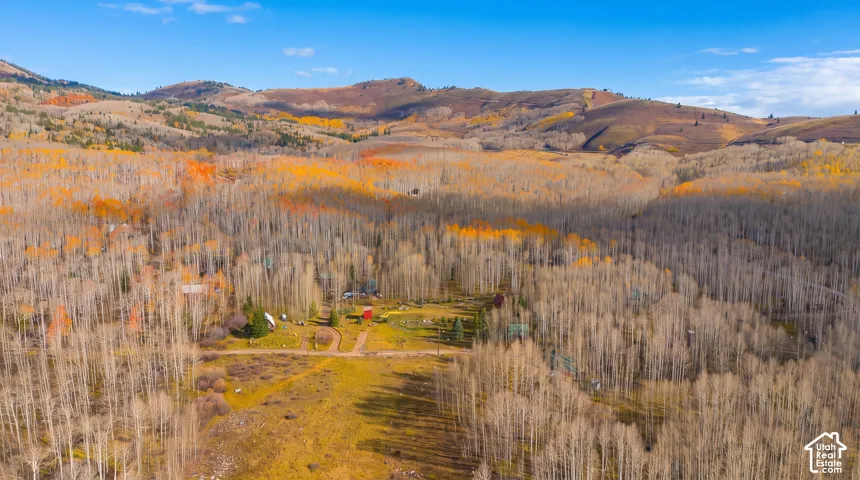 Expansive mountain landscape featuring varied tree cover and a clear blue sky