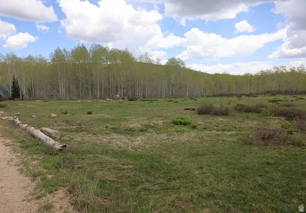 View of woods featuring a view of countryside
