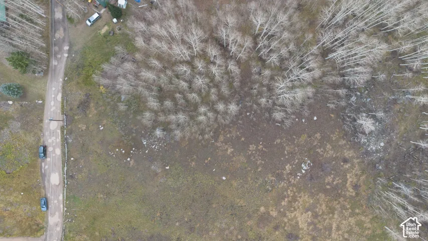 Expansive natural landscape featuring a treed perimeter and a visible access path