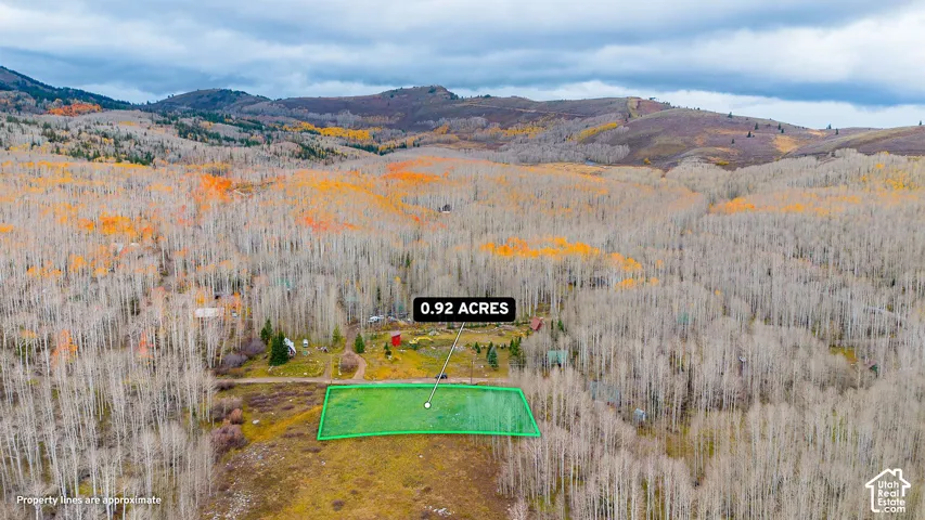 0.92 acre parcel with defined boundaries, surrounded by mature deciduous trees and distant mountainous terrain