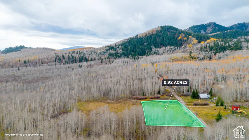 0.92-acre lot featuring a defined green space, surrounded by dense trees, and framed by a mountainous backdrop