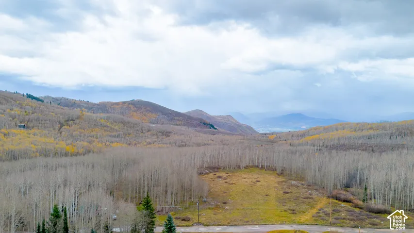 Expansive mountain landscape with varied tree coverage, open land, and distant mountains