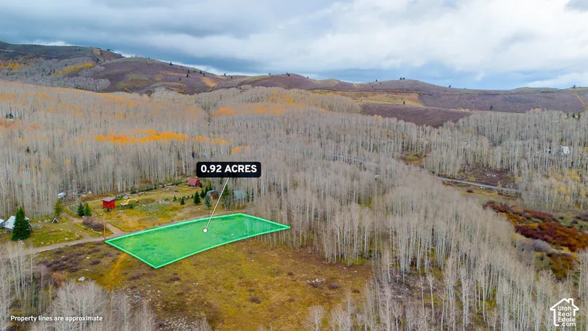 0.92 acre parcel surrounded by extensive tree coverage and natural terrain