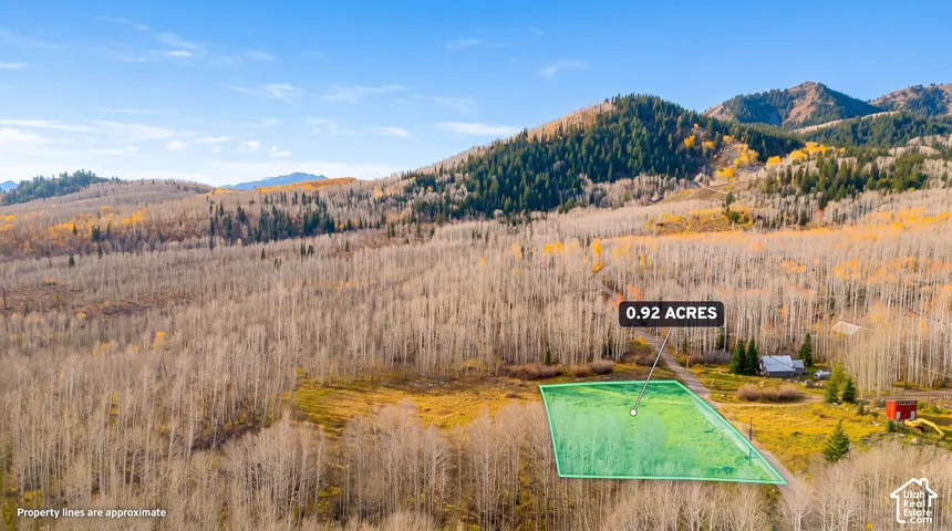 0.92 acres of land with a mountainous backdrop, surrounded by mature trees, and featuring a partially cleared area