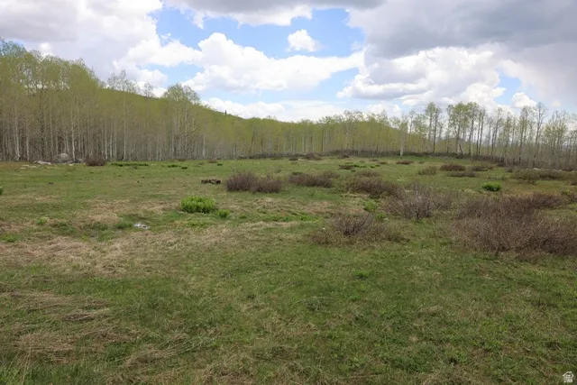View of wooded area featuring a view of rural / pastoral area