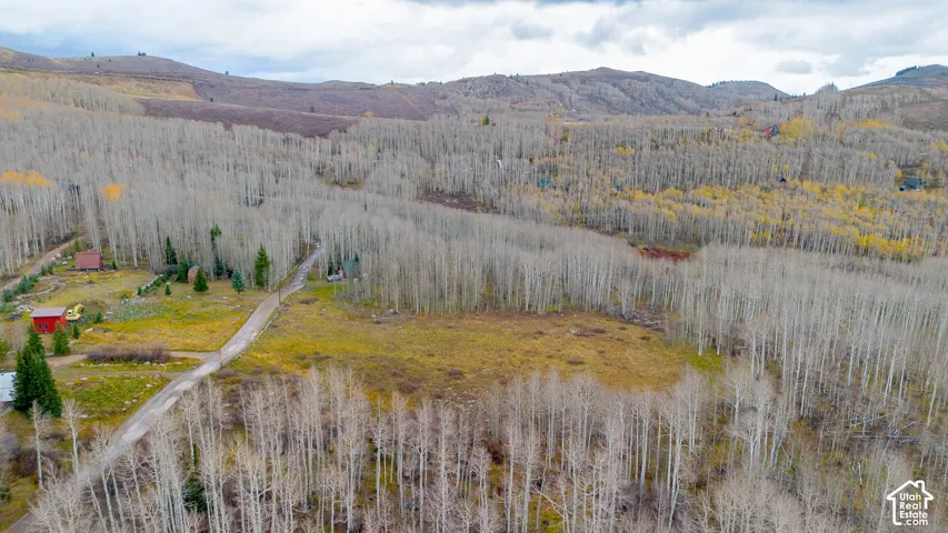Property surrounded by expansive deciduous trees and distant mountain ranges