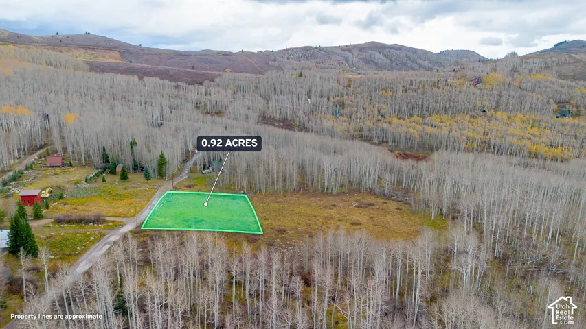 0.92-acre lot featuring a clear, level building area, surrounded by a natural wooded landscape