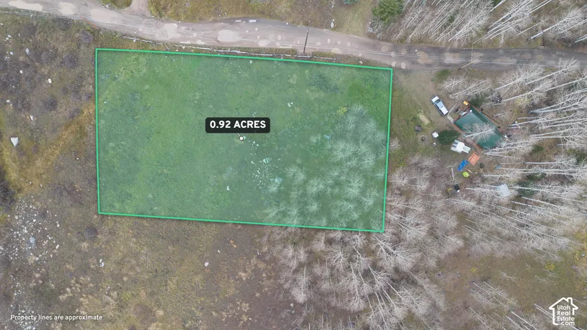 0.92 acre lot featuring green space