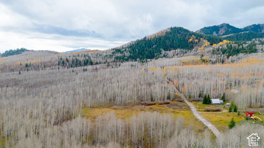 Mountainous terrain featuring dense deciduous and evergreen tree coverage, a natural landscape with varied topography, and an unpaved road