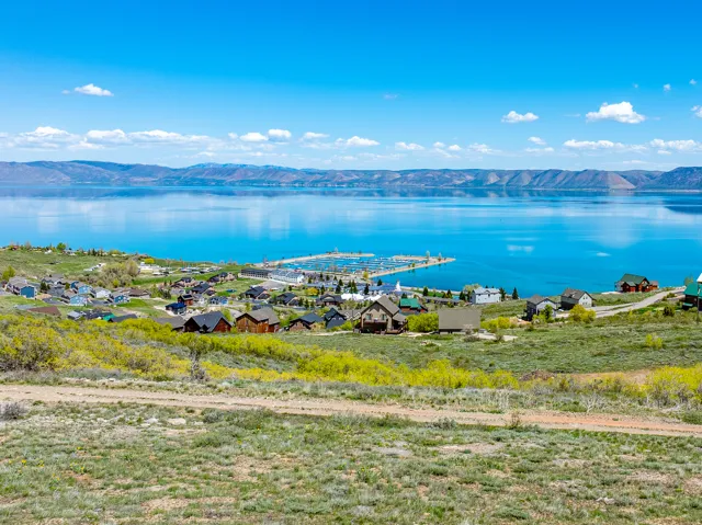 Aerial view of a water and mountain view