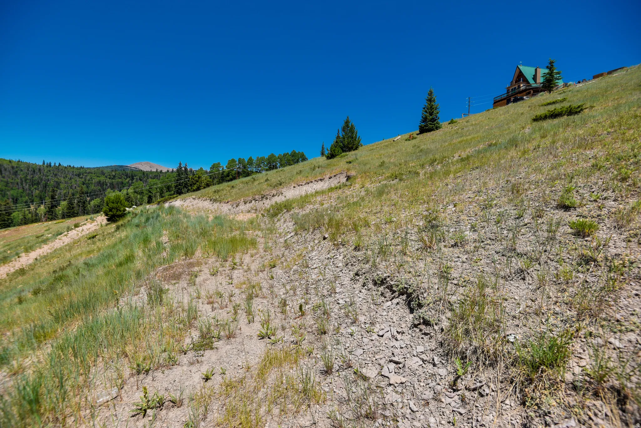 View of local wilderness featuring rural landscape