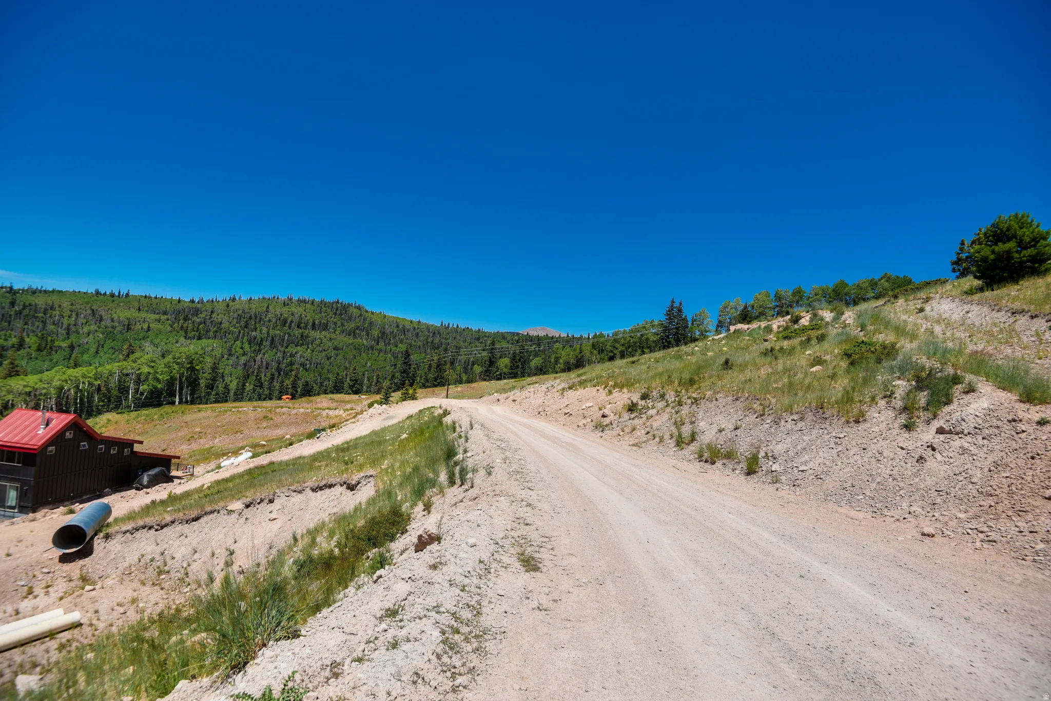 View of dirt / gravel road with a view of trees and a view of rural / pastoral area