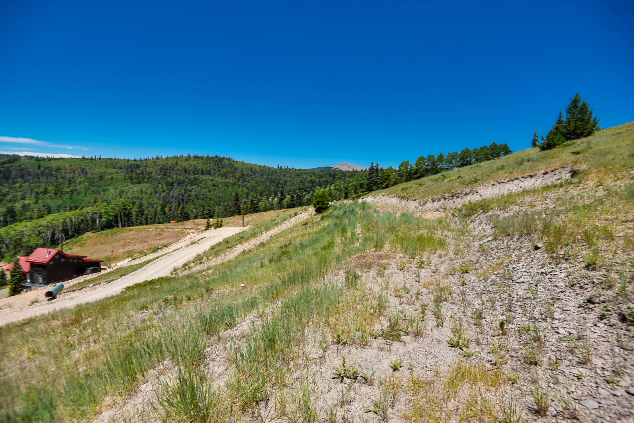 View of mountain background with rural landscape and a forest
