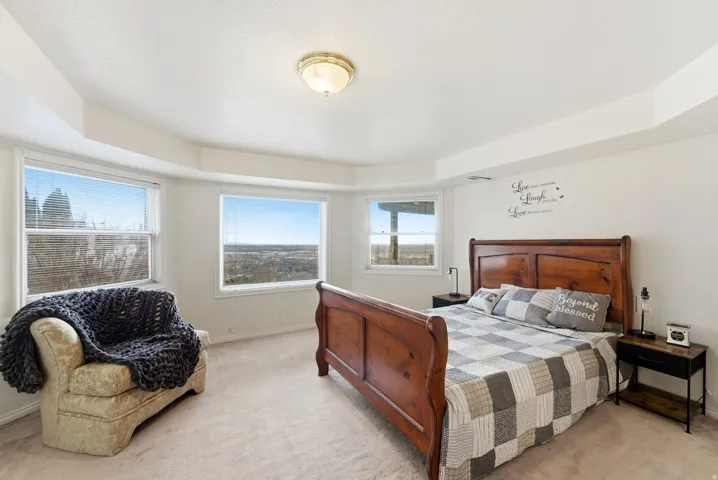 Bedroom with carpet floors