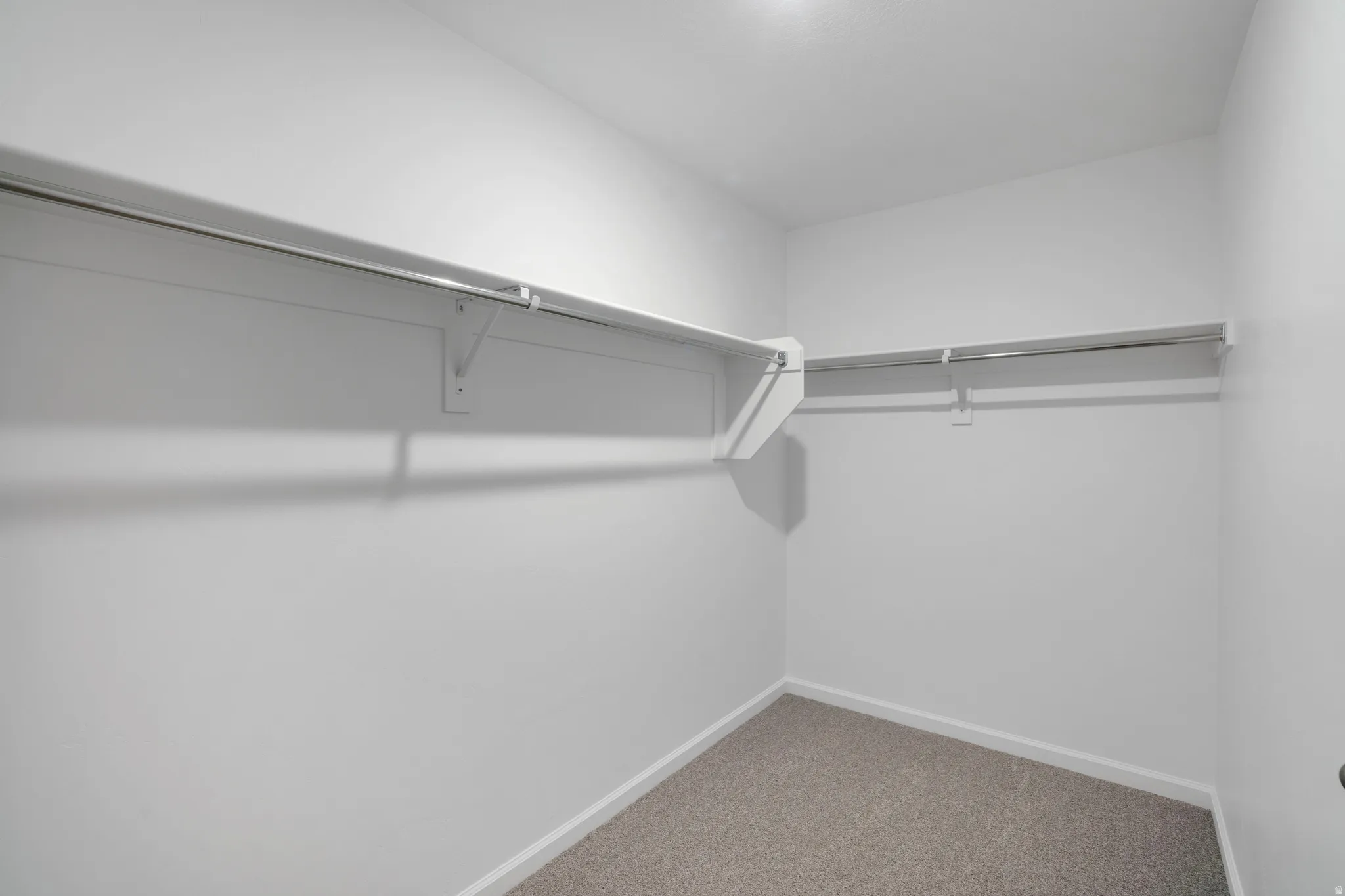 Walk in closet with carpet floors
