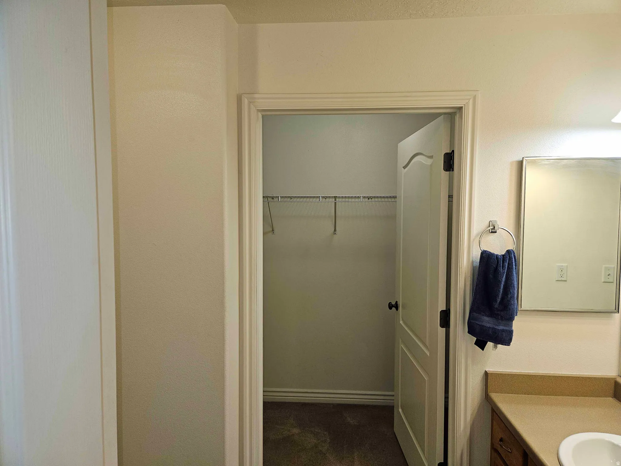 Bathroom featuring vanity, dark carpet, and a spacious closet