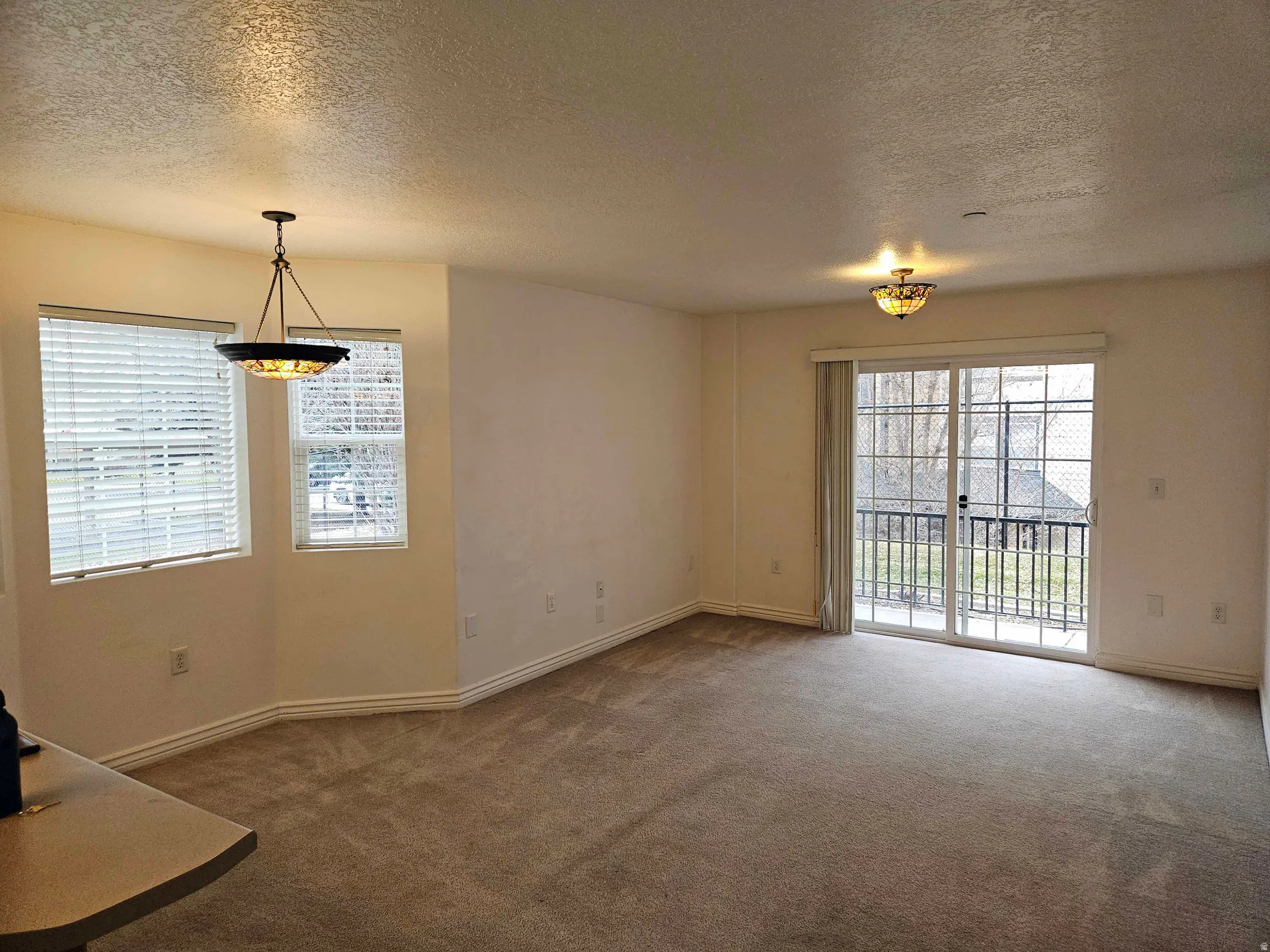 Unfurnished dining area with a textured ceiling, healthy amount of natural light, and carpet floors