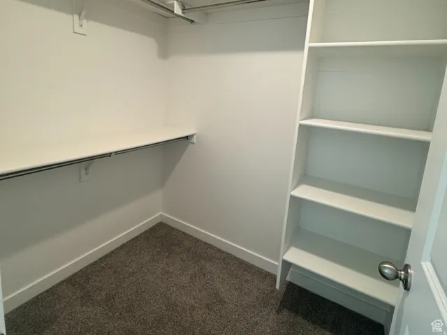 Walk in closet featuring dark carpet
