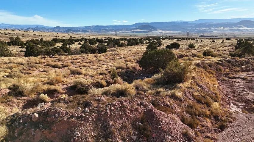 Arid landscape featuring natural vegetation and distant mountain ranges