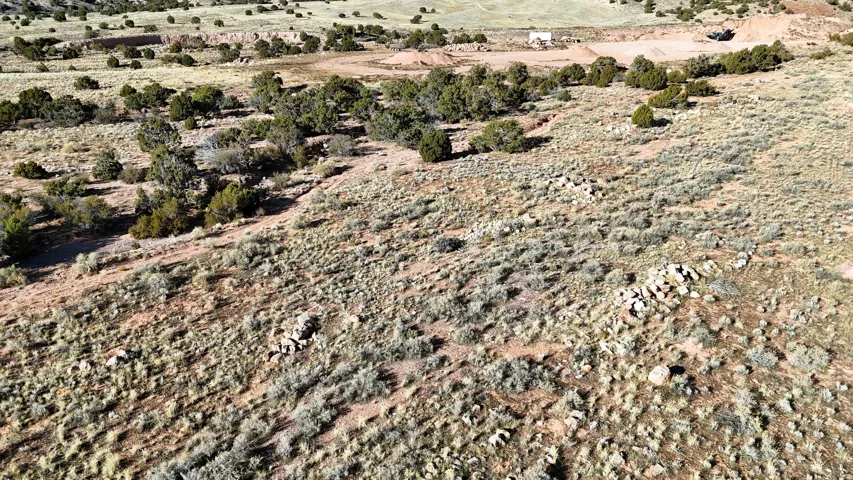 Expansive natural terrain featuring sparse vegetation, scattered juniper trees, and a distant building