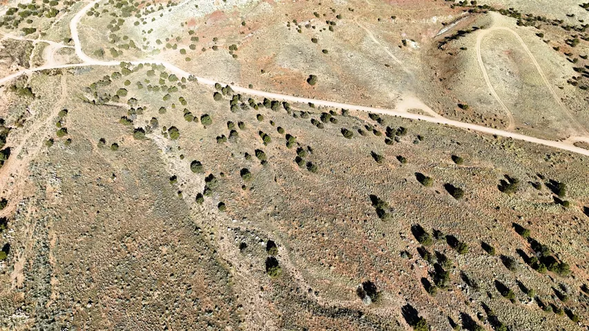 Expansive natural terrain with scattered trees and visible unpaved paths