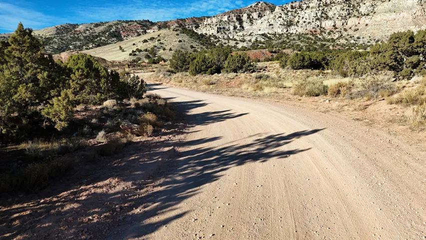 Unpaved road winding through a landscape featuring arid vegetation, scattered trees, and distant rock formations