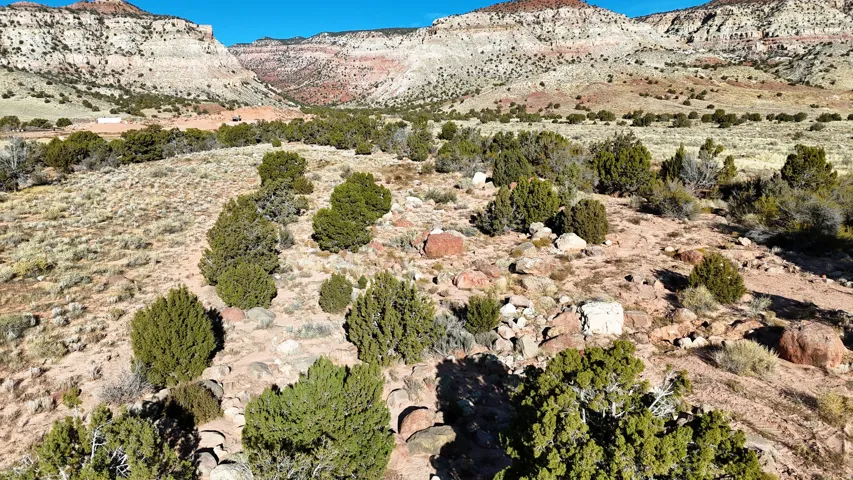 Expansive desert terrain featuring varied shrubbery and rock formations