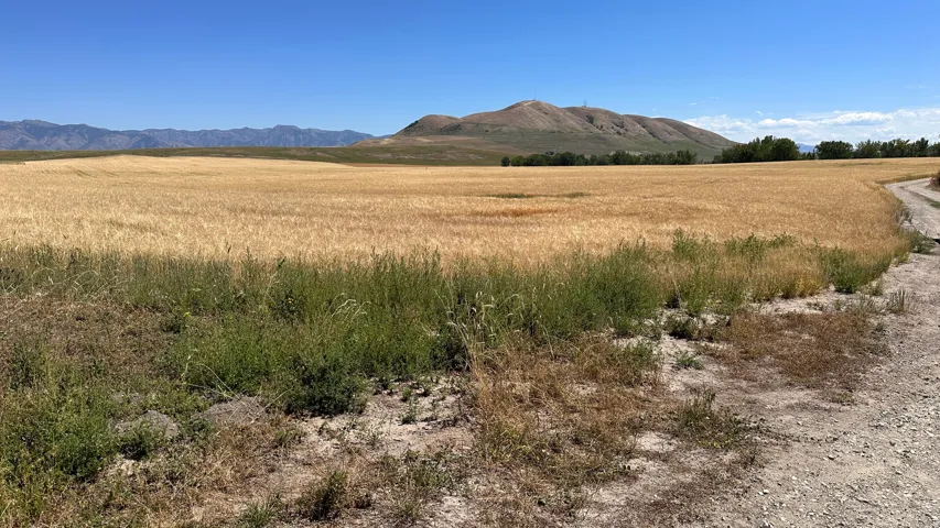 View of mountain background with rural landscape