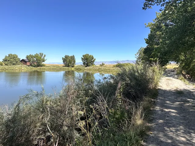 Water view