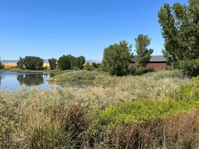 View of water