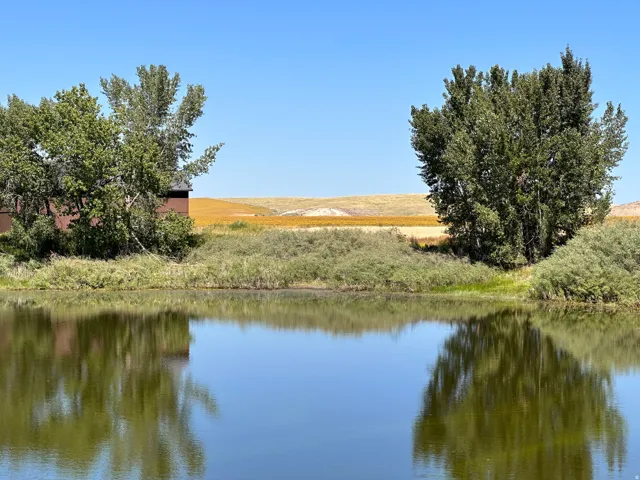 Water view