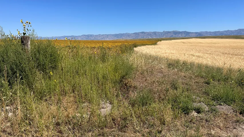 Mountain view featuring rural landscape